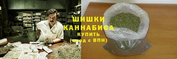 шишки Арсеньев