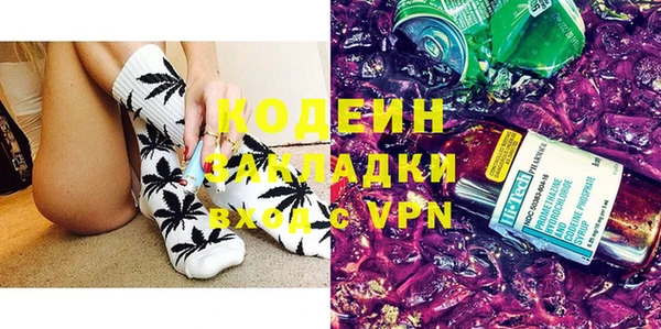 шишки Арсеньев