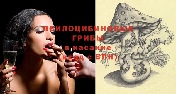 spice Беломорск