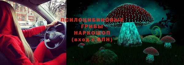 шишки Арсеньев