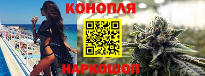 сатива Бийск