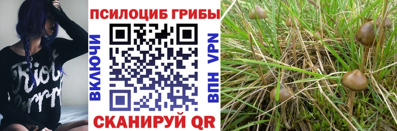 Псилоцибиновые грибы Psilocybine cubensis  гидра сайт  Кинешма 
