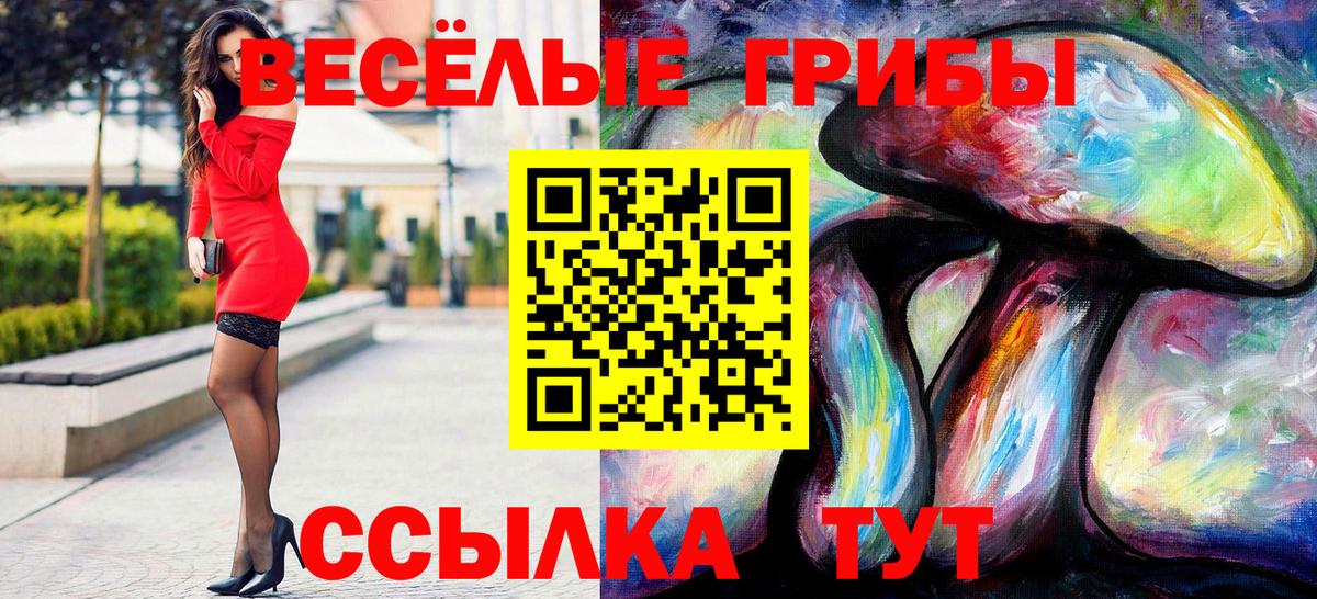 Кинешма  Псилоцибиновые грибы мицелий  Вход с VPN  Галлюциногенные грибы прущие грибы 