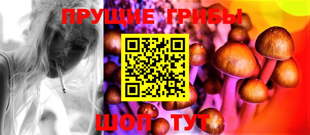 Псилоцибиновые грибы Psilocybine cubensis  Кинешма 